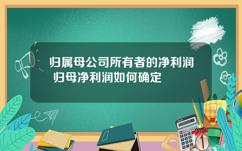 归属母公司所有者的净利润 归母净利润如何确定